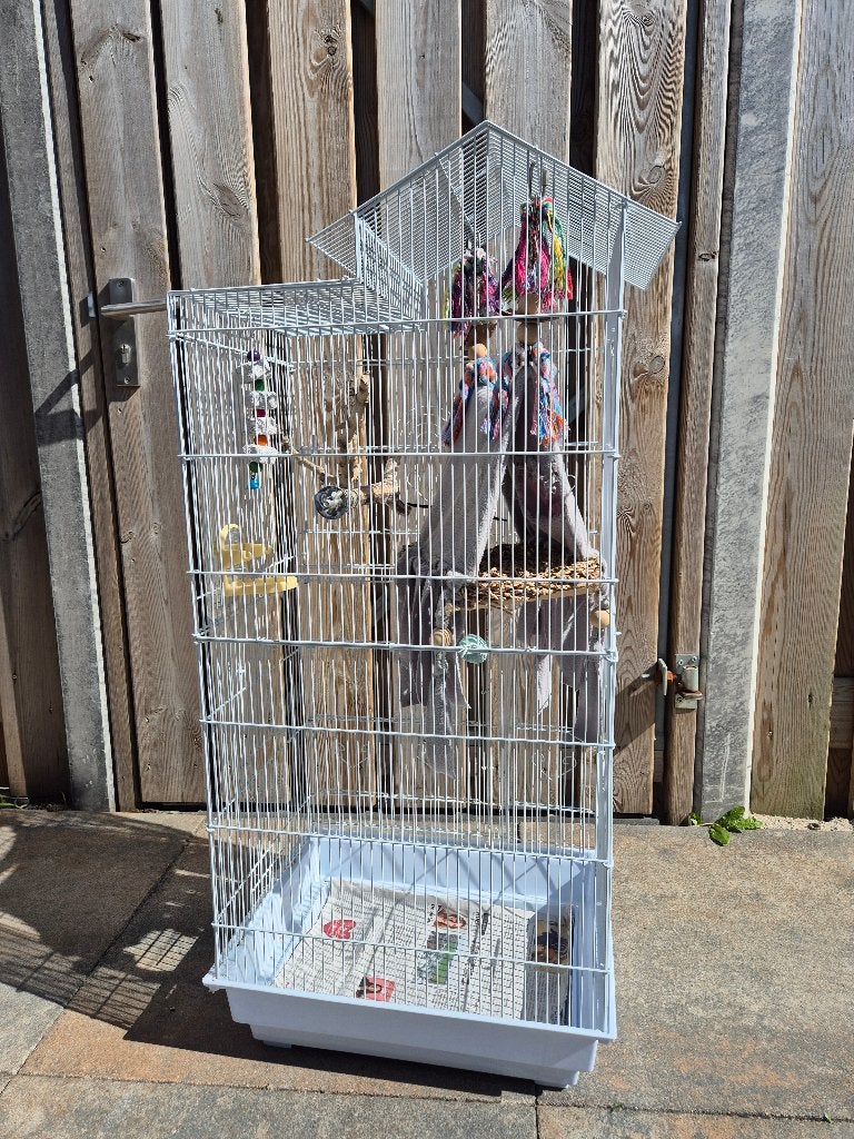 Vogel kooi, Ophalen, Zo goed als nieuw, Metaal, Vogelkooi