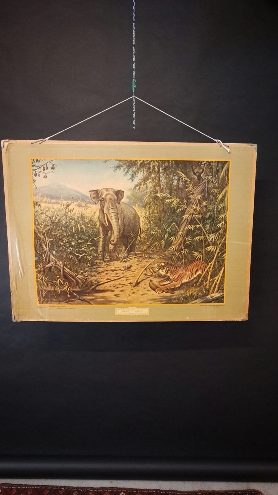 Vintage Set Schoolplaten, Antiek en Kunst, Ophalen, Natuur en Biologie