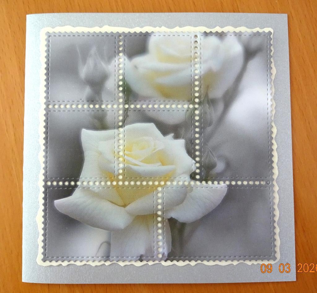 Condoleance kaart met envelop, Ophalen of Verzenden, Nieuw, Man of Vrouw