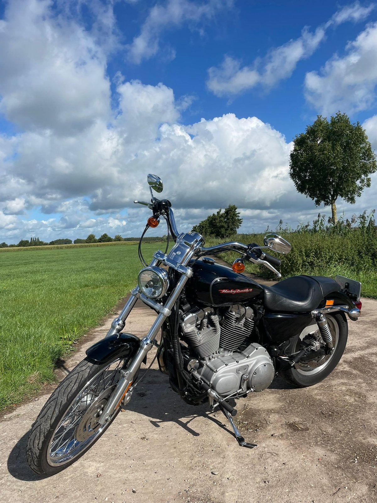 Super nette Harley -Davidson 883 injectie uitvoering, Motoren, Motoren | Harley-Davidson, 2 cilinders, Occasion, Particulier, Meer dan 35 kW