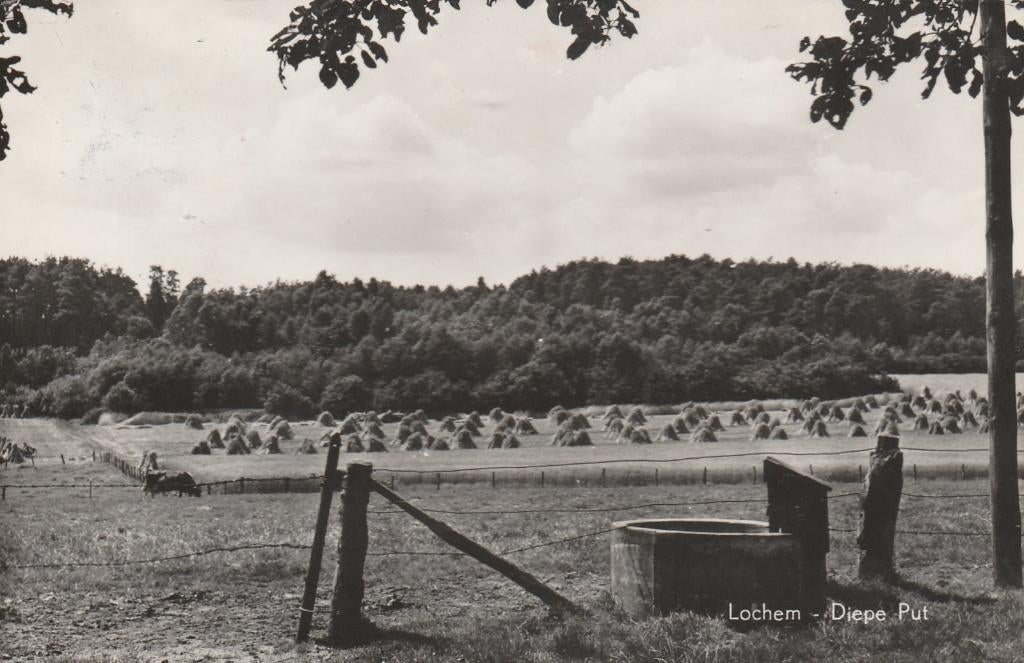 LOCHEM Diepe Put 1964, Verzamelen, Ansichtkaarten | Nederland, Gelopen, Gelderland, 1960 tot 1980, Verzenden