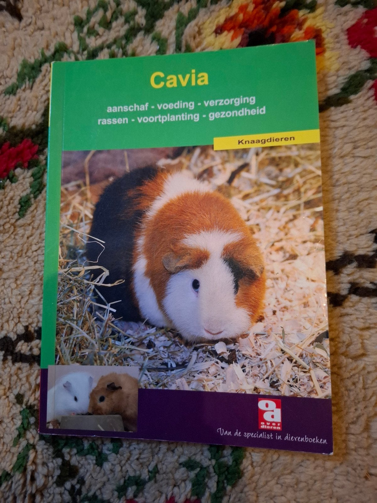 Cavia: aanschaf, voeding, verzorging, rassen, voortplanting, Ophalen of Verzenden, Zo goed als nieuw, Konijnen of Knaagdieren