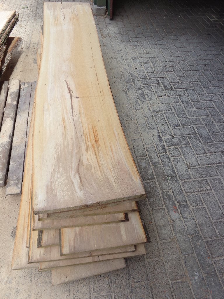 Eiken en beuken schaaldelen / boomstamplanken, Doe-het-zelf en Verbouw, Hout en Planken, Ophalen, 25 tot 50 mm, Zo goed als nieuw