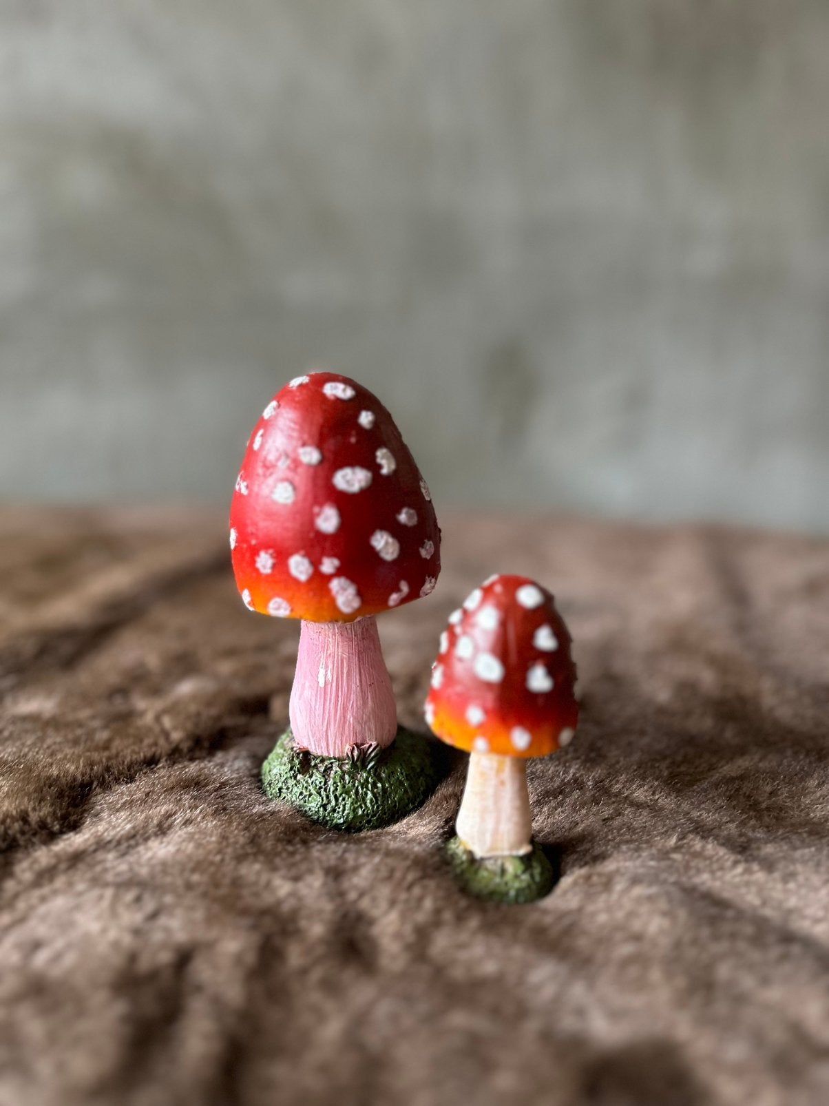 Decoratieve paddenstoelen, Ophalen of Verzenden, Nieuw, Overige typen