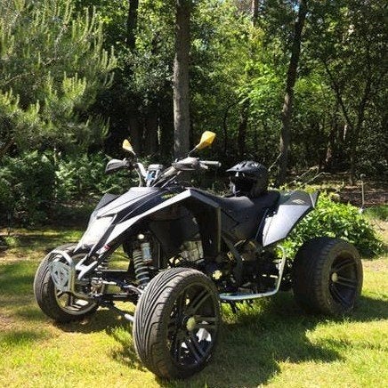 Merk Egl Quad - Stoere Zwarte Quad met Monster Energy Design, Motoren, Quads en Trikes, 250 cc, 1 cilinder, 12 t/m 35 kW
