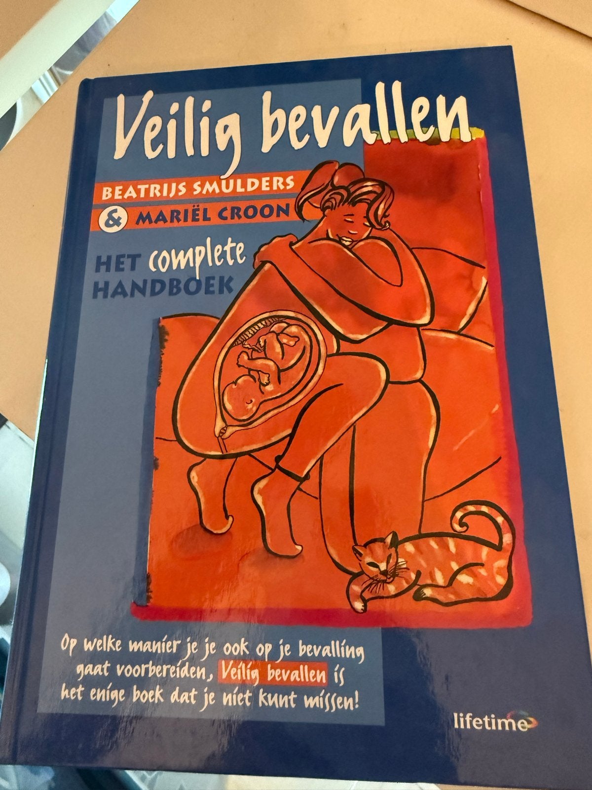 Veilig bevallen: Het complete handboek - Beatrijs Smulders, Ophalen of Verzenden, Gelezen, Zwangerschap en Bevalling