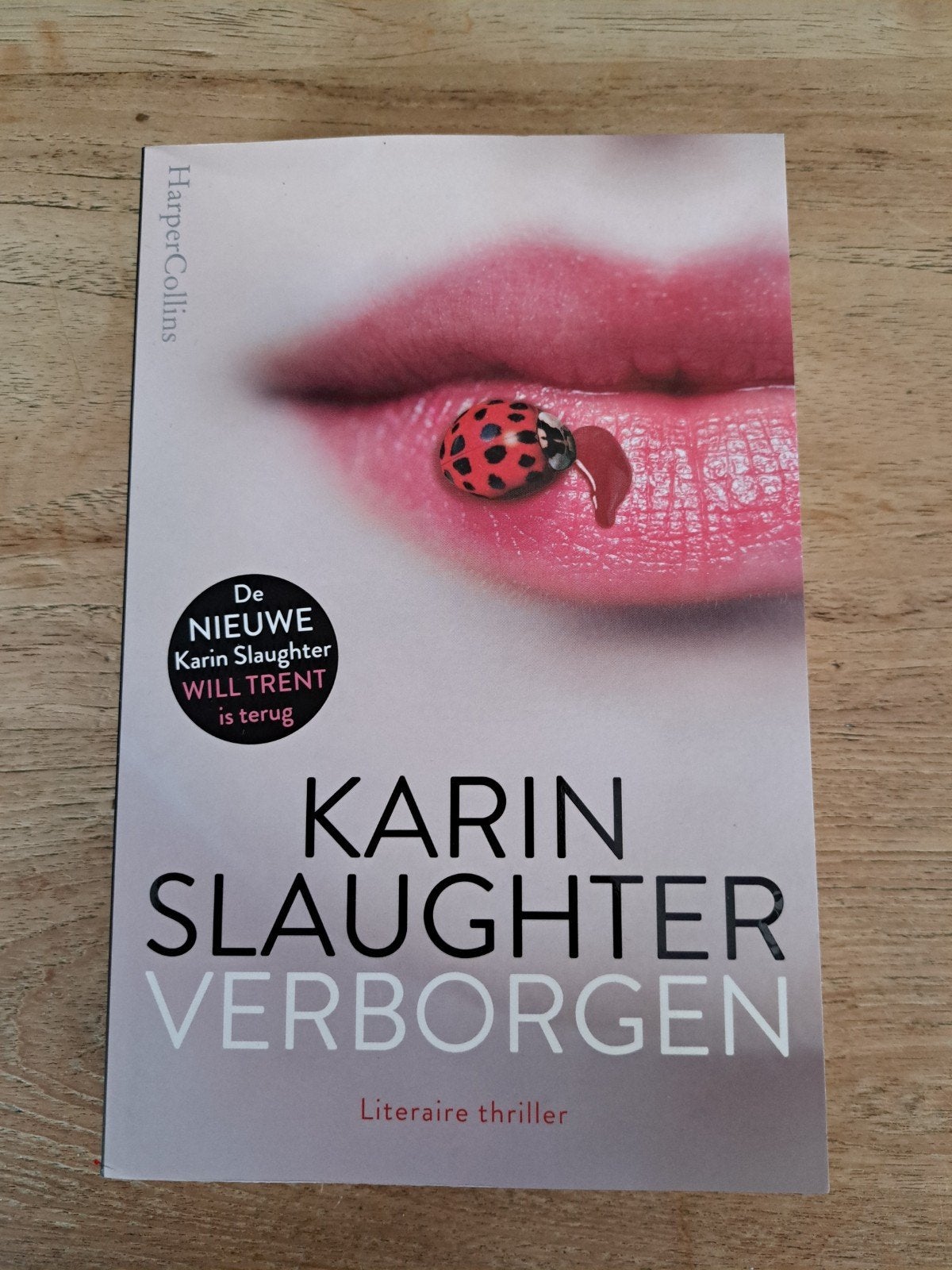 Karin Slaughter - Verborgen (Literaire thriller), Ophalen of Verzenden, Zo goed als nieuw, Karin Slaughter, Nederland