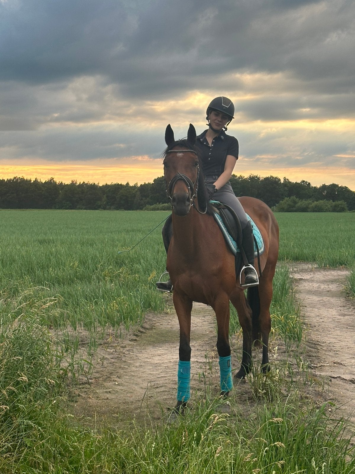 Eerlijke Recreatie merrie, Dieren en Toebehoren, Pony's, B, 3 tot 6 jaar, Recreatiepony, Merrie