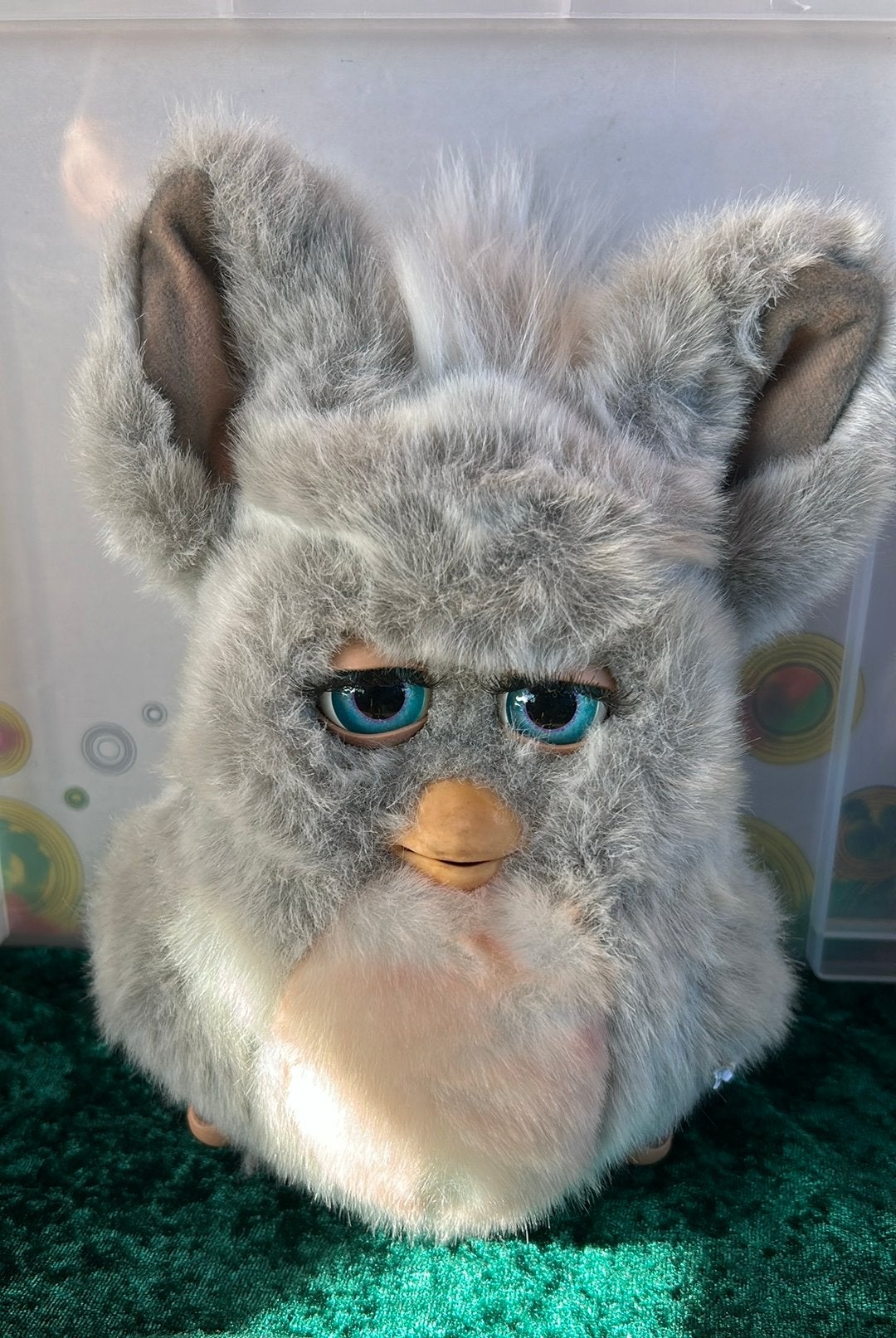 Furby 2005, Ophalen, Zo goed als nieuw, Overige typen