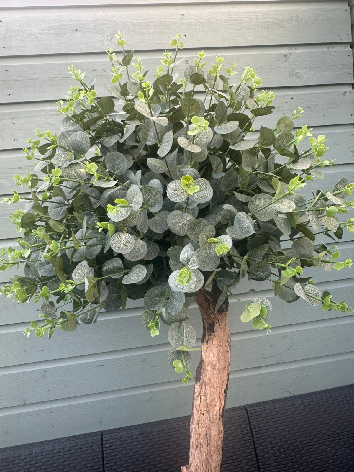 Uniek handgemaakt eucalyptus boom, Ophalen, Binnen, Kunstplant, 145 cm