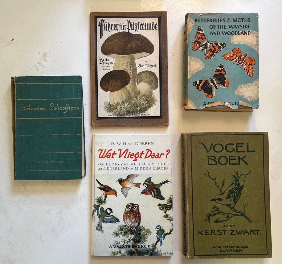 Oude natuurboeken: flora, vogels, paddenstoelen, vlinders, Ophalen of Verzenden, Gelezen, Vogels