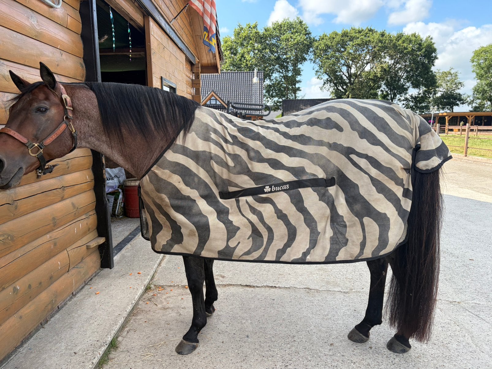 Bucas zebra deken, zonder hals maat 6.3, Gebruikt, Vliegendeken, Bucas, Meerkleurig