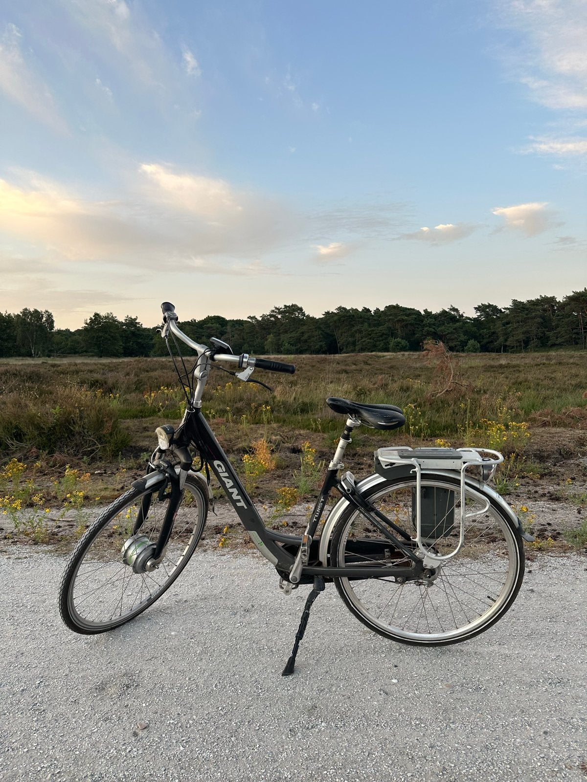 Elektrische fiets Giant, Ophalen, Gebruikt, Giant