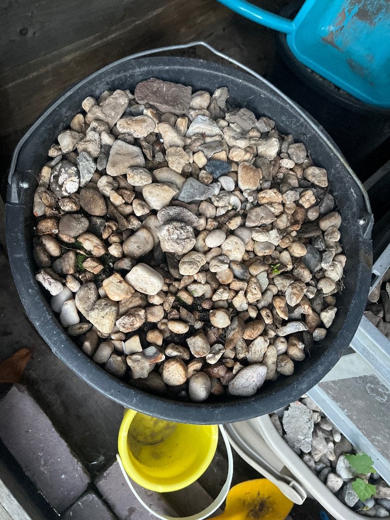 Kiezelstenen (Gratis), Ophalen