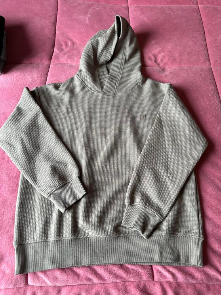 Shoeby Jacquard Hoodie Light green Size M – New with Tags, Ophalen of Verzenden, Nieuw, Maat 48/50 (M), Beige