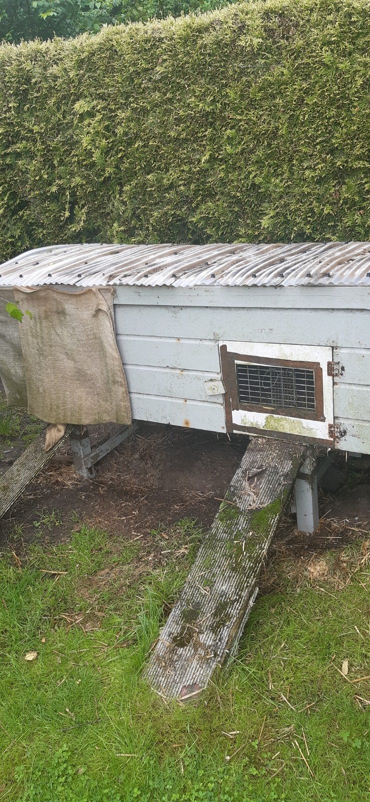 Konijnen hok, Dieren en Toebehoren, Ophalen, 60 tot 90 cm, Hok, 110 cm of meer