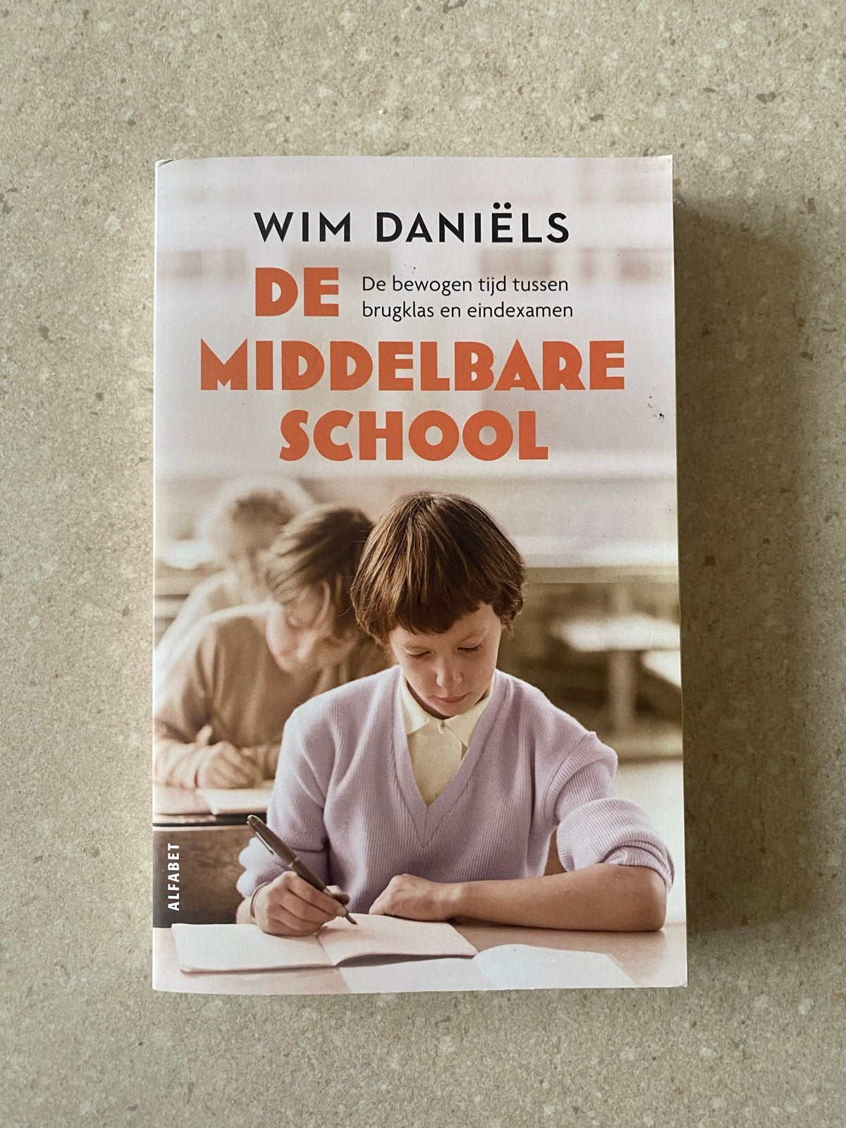De Middelbare School - Wim Daniëls, Boeken, Ophalen of Verzenden, Gelezen, Overige niveaus, Overige vakken