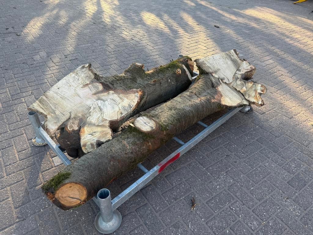 Kersenstam hout, Doe-het-zelf en Verbouw, Hout en Planken, Ophalen of Verzenden, Nieuw