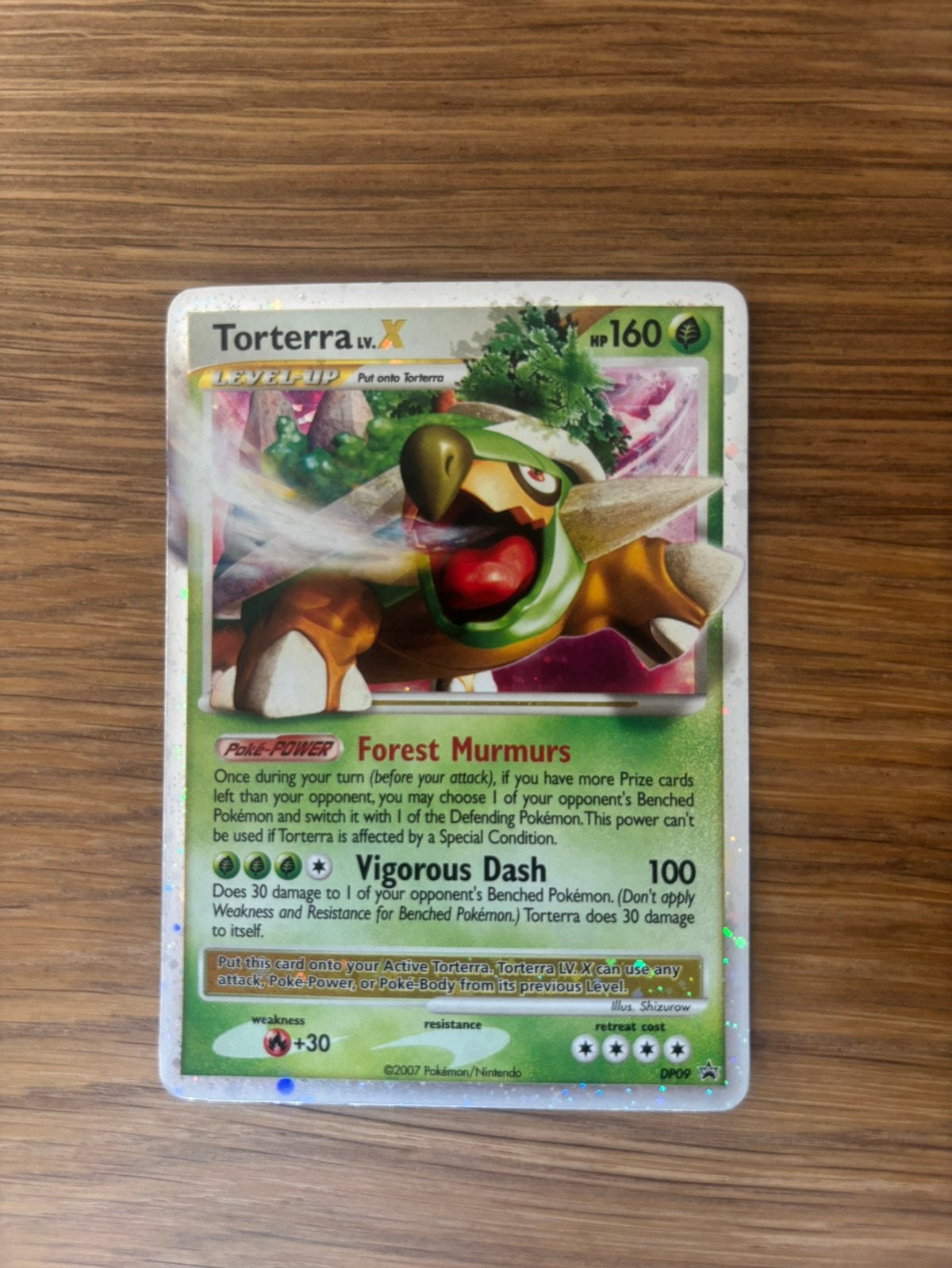 Torterra x dp09, Ophalen of Verzenden, Zo goed als nieuw
