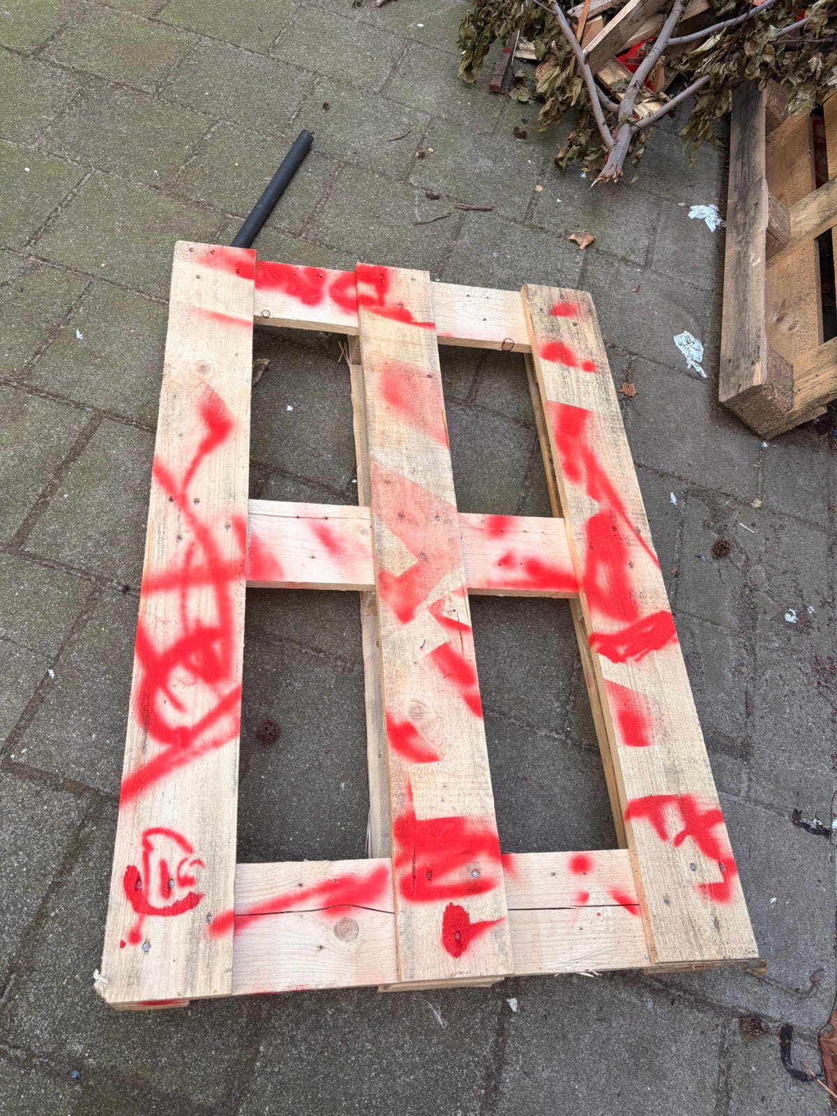 Gratis ophalen! 2 grote pallets, Gebruikt, Ophalen of Verzenden, 50 mm of meer, Pallet