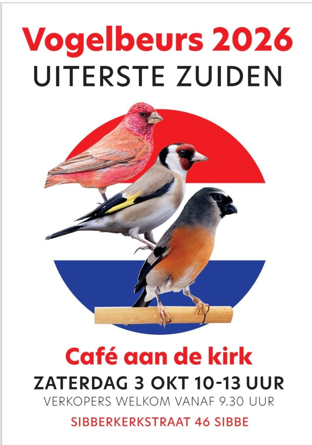Vogelbeurs, Meerdere dieren, Parkiet