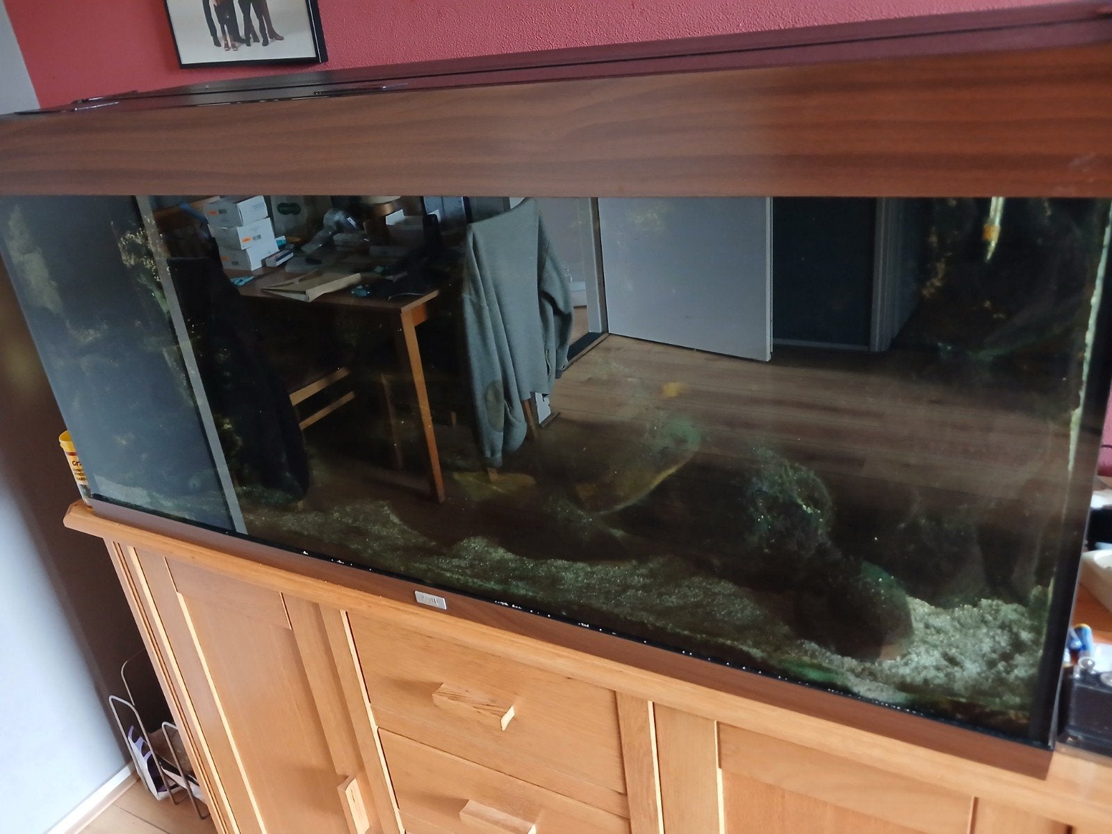 Compleet aquarium Juwel 1.20m breed, Dieren en Toebehoren, Vissen | Aquaria en Toebehoren, Ophalen, Gebruikt, Inclusief vissen