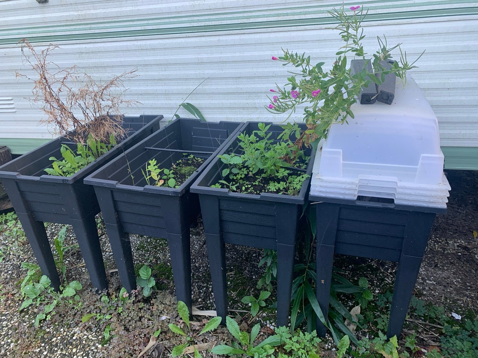 Kweektafels met kweekkappen - Ideaal voor moestuin, Verzenden, Zo goed als nieuw, Kweektafel