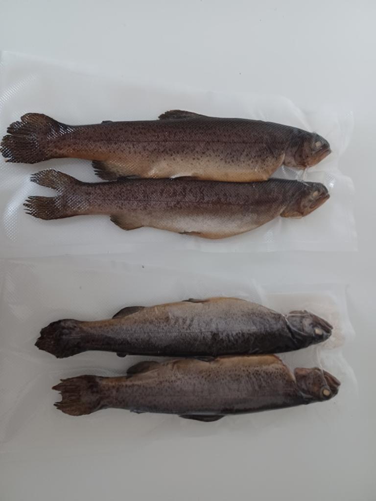 Verse en gerookte forel 5+1gratis, Ophalen, Nieuw, Overige typen