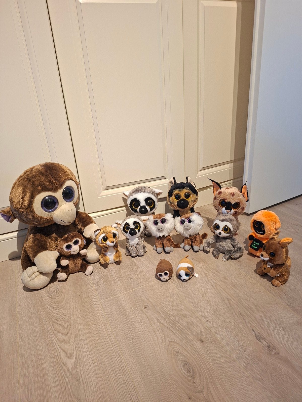 Grote collectie Ty Beanie Boo's knuffels, Gebruikt, Ophalen of Verzenden, Met label, Klein (minder dan 20 cm)