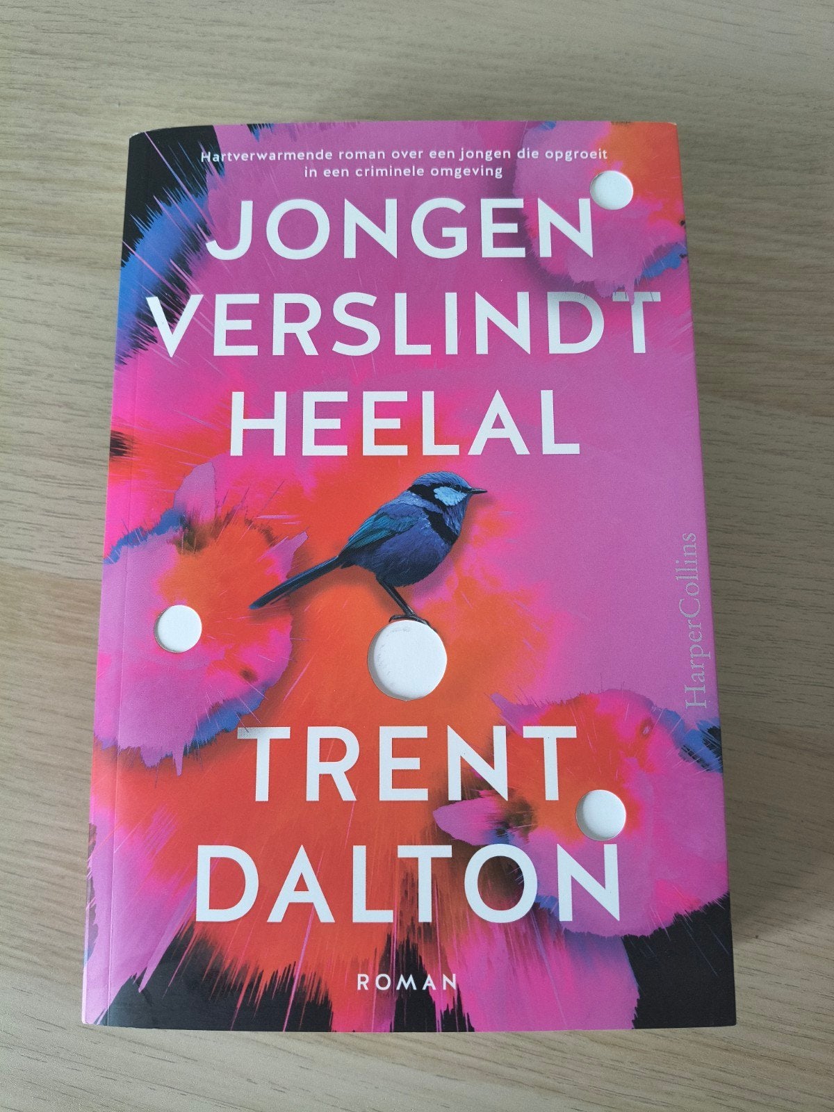 Jongen Verslindt Heelal - Trent Dalton, Ophalen of Verzenden, Zo goed als nieuw, Trent Dalton, Wereld overig