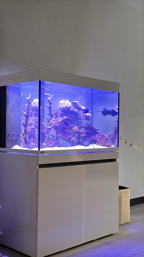 Eheim 330L marine aquarium, Ophalen, Zo goed als nieuw, Leeg aquarium, Eheim