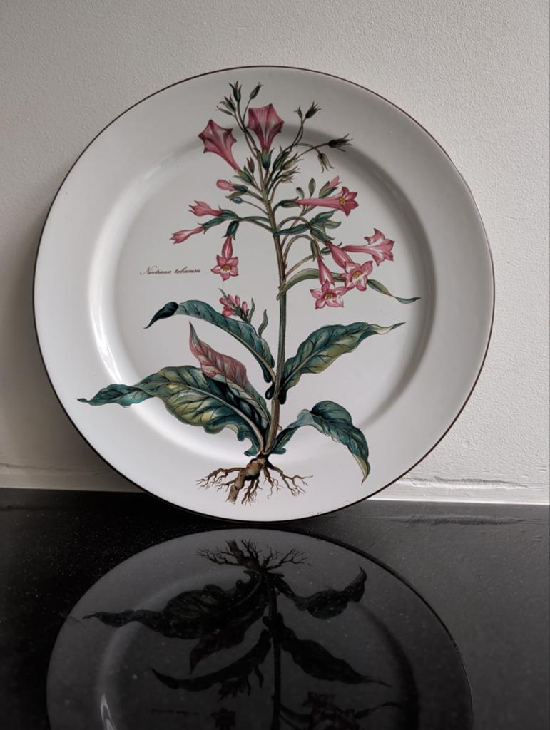 Villeroy & Boch Botanica Wandbord - Nicotiana Tabacum, Ophalen of Verzenden