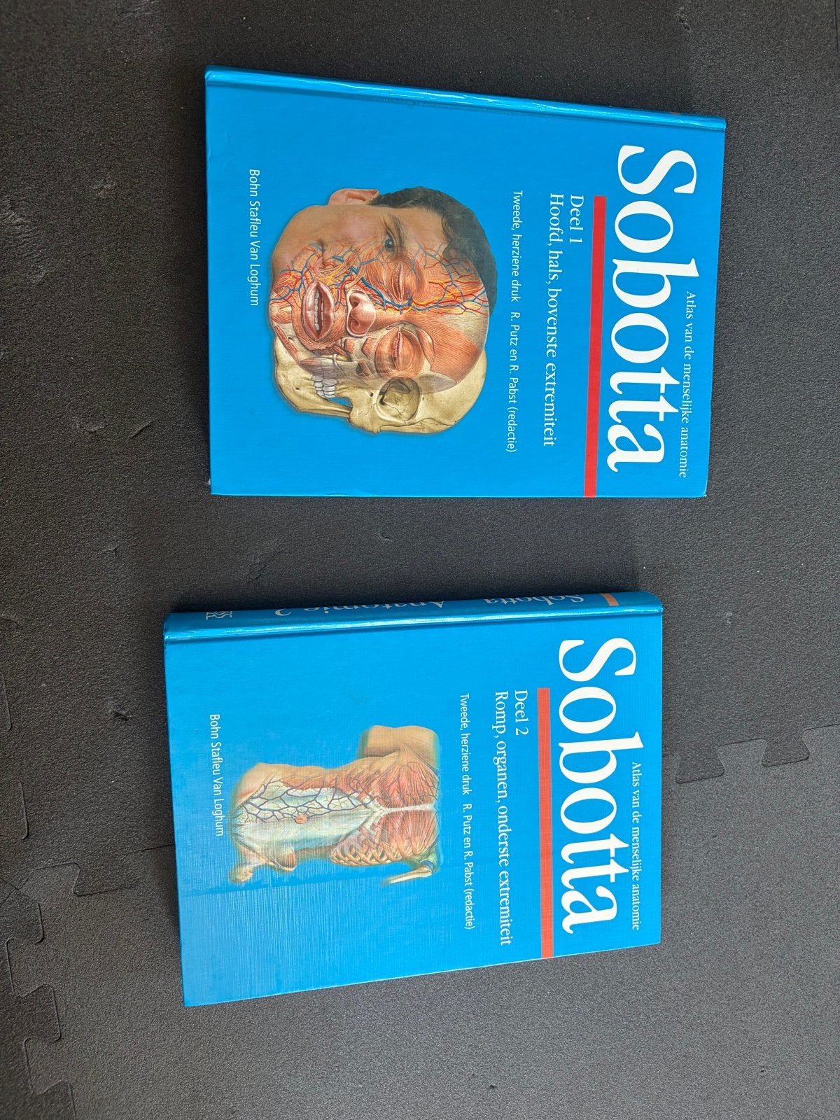 Sobotta Atlas van de menselijke anatomie Deel 1 & 2, Boeken, Ophalen of Verzenden, Beta, Gelezen, WO