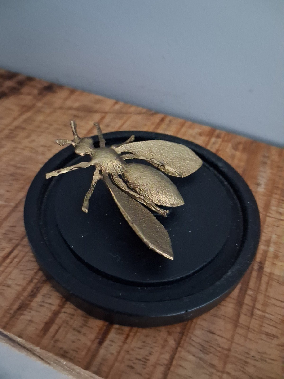 Decoratieve Insect in Glazen Stolp - 8 cm breed, Gebruikt, Ophalen of Verzenden, Goud, Glas