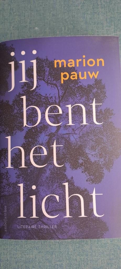 Marion Pauw - Jij bent het licht, Boeken, Ophalen of Verzenden, Zo goed als nieuw, Marion Pauw