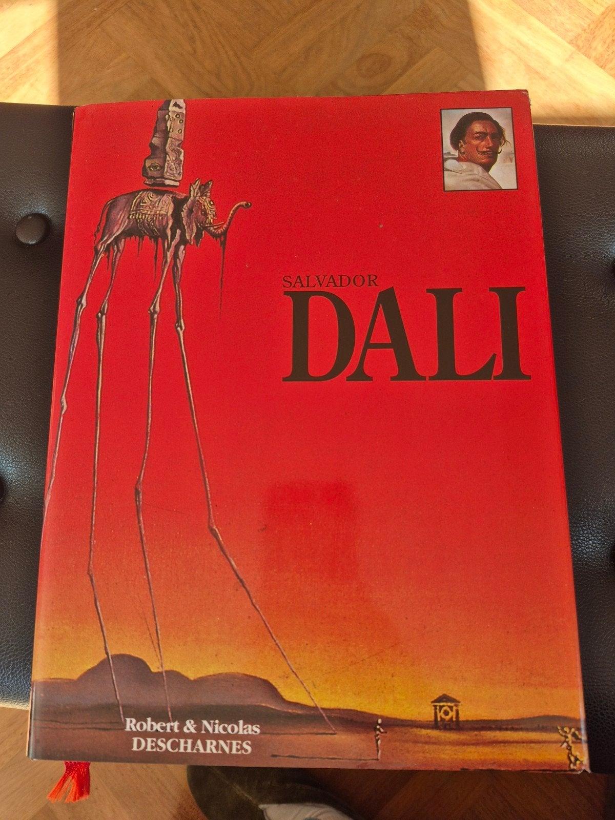 Kunstboek Salvador Dali, Ophalen of Verzenden