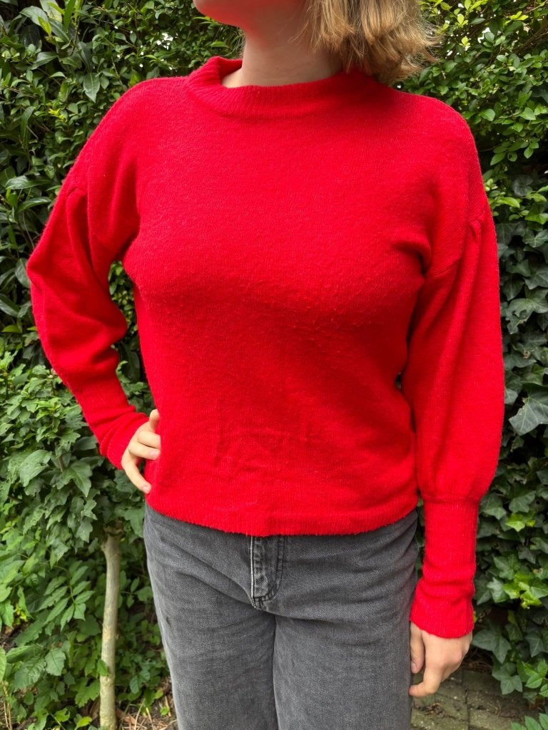 Rode trui M/L, Maat 38/40 (M), Ophalen of Verzenden, Gedragen, Hema