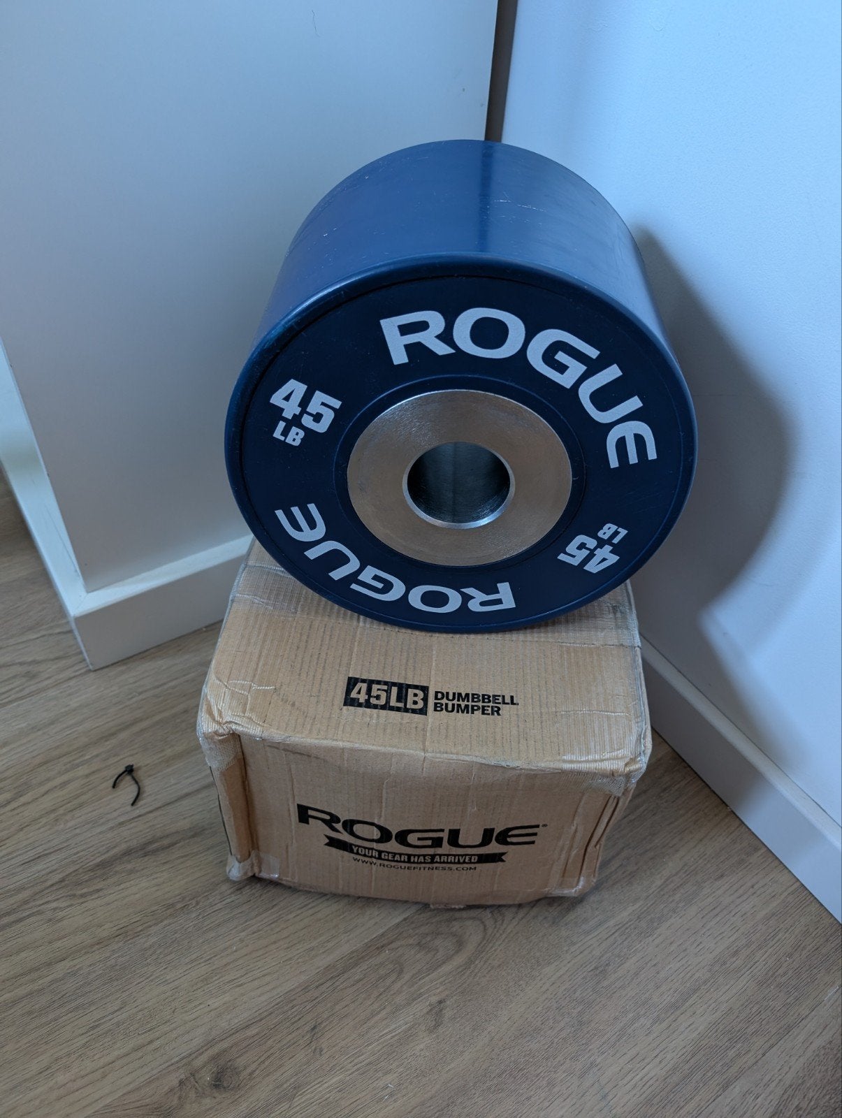 Rogue 45LB Dumbbell Bumper Pair (ongeveer 20 kg per stuk), Sport en Fitness, Ophalen, Nieuw, Dumbbell
