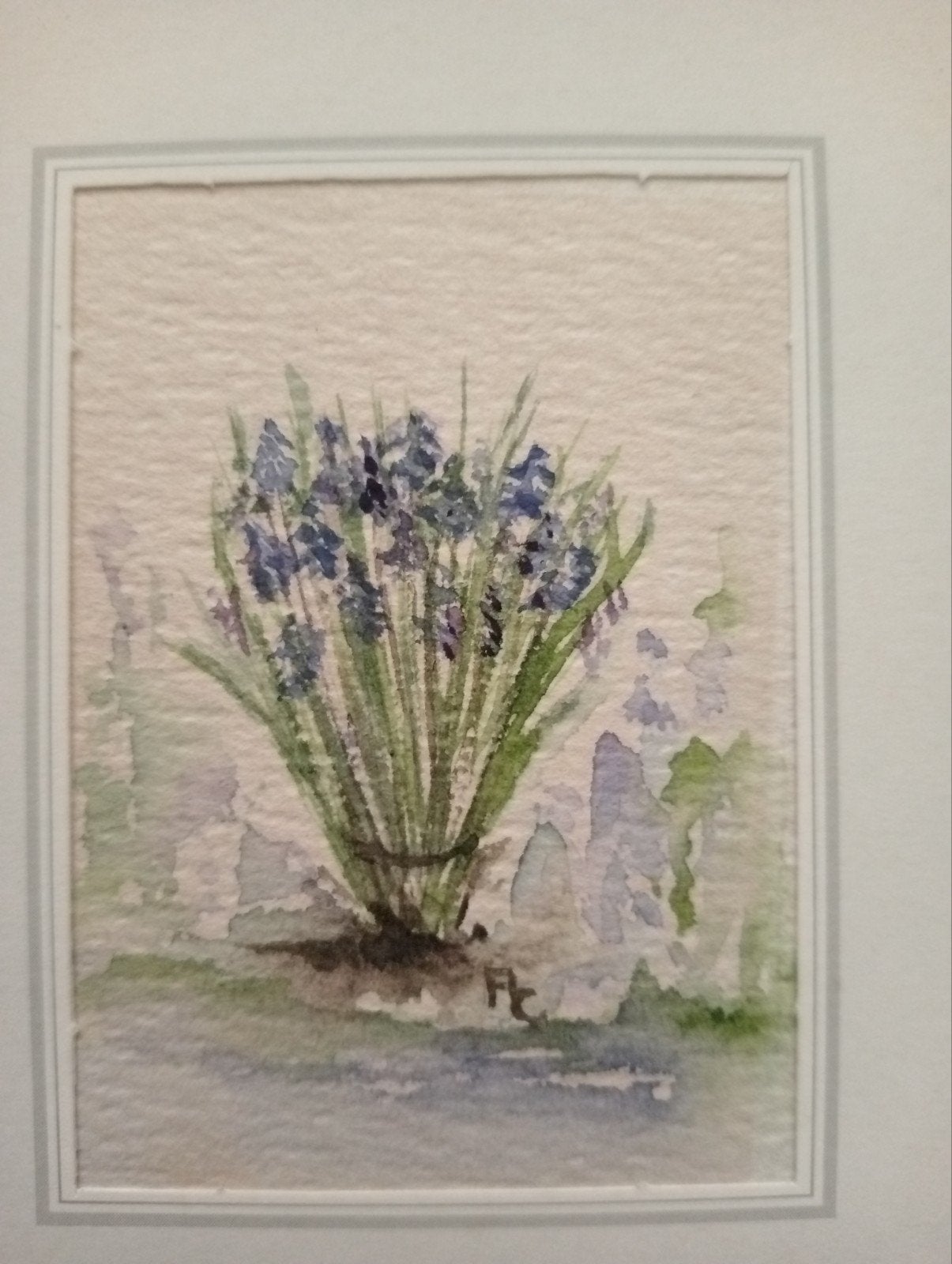 Handgeschilderde Aquarel: Blauwe Druifjes, Ophalen of Verzenden