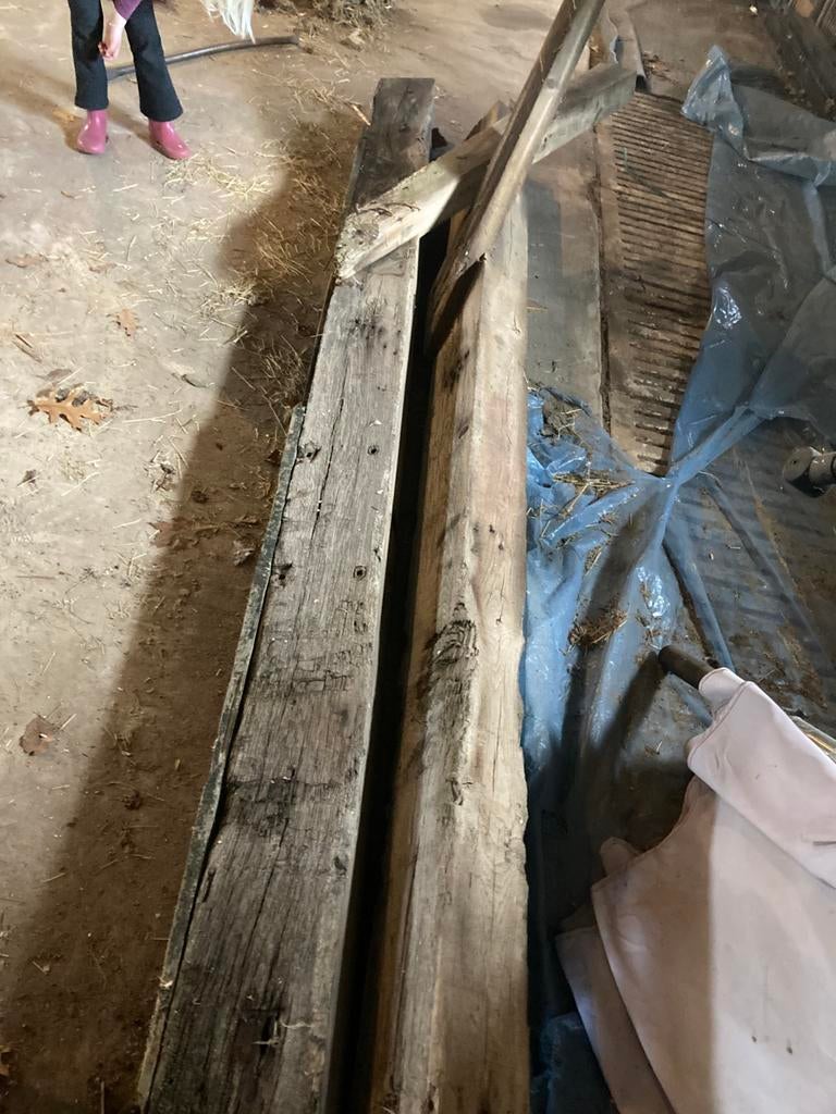 Gebinten oude eiken balken, Ophalen, Gebruikt, Hardhout, 250 cm of meer