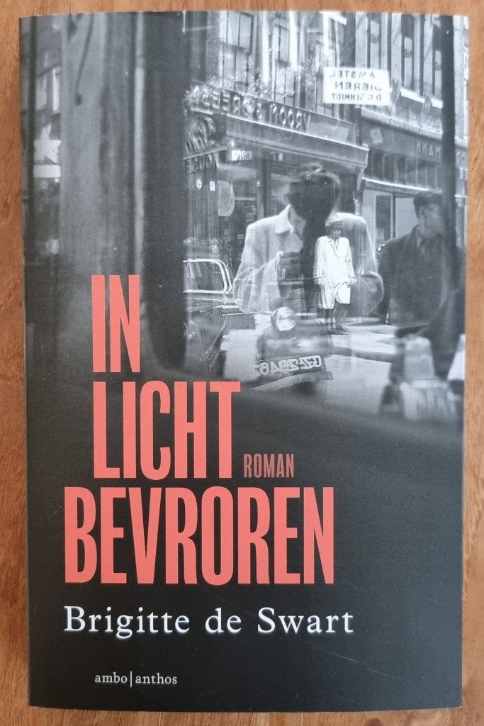 In licht bevroren - Brigitte de Swart - NIEUW, Boeken, Ophalen of Verzenden, Nieuw, Brigitte de Swart, Nederland