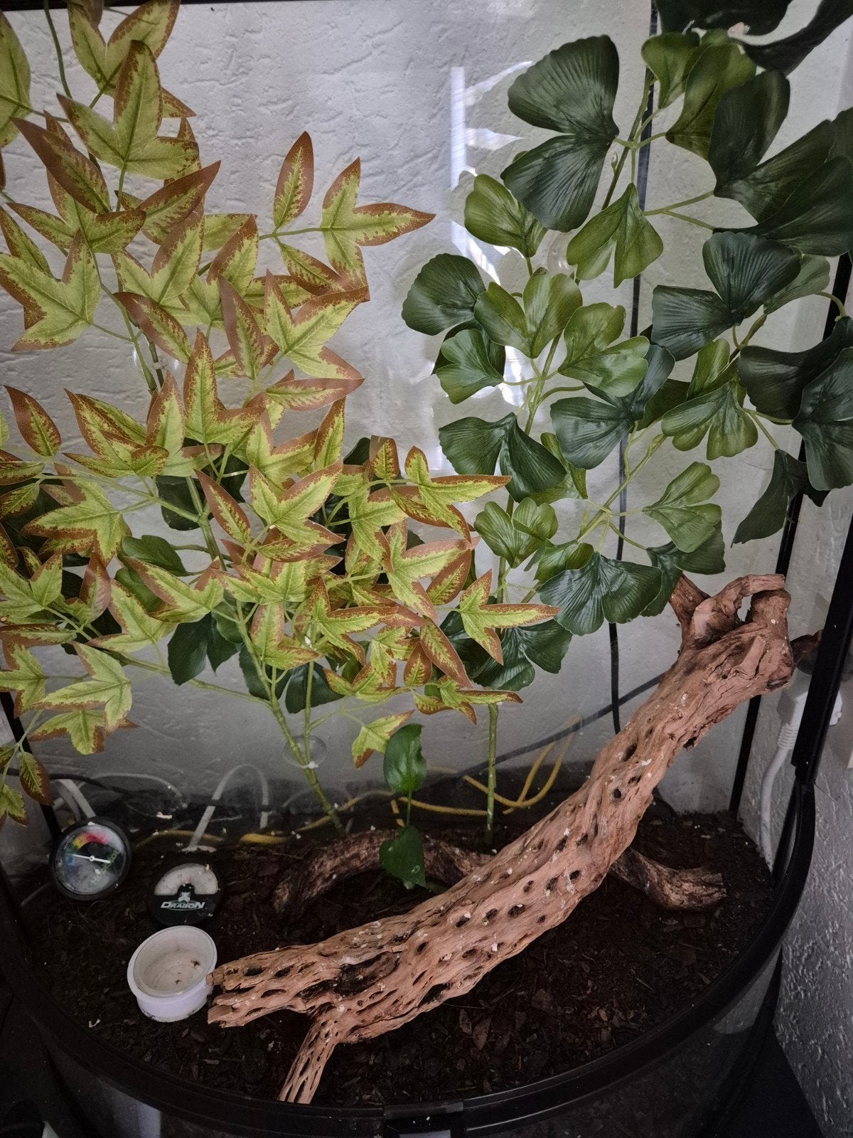 exo terra terrarium half moon, Ophalen, Zo goed als nieuw