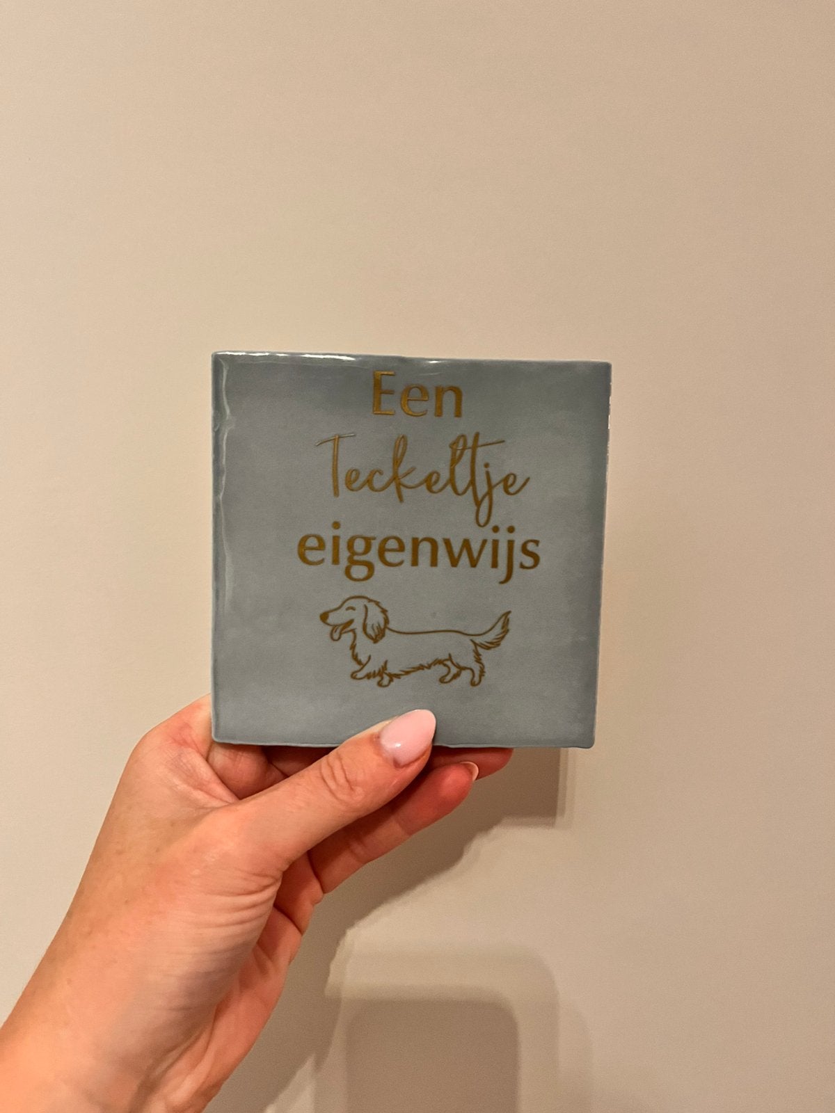 Tegeltje met tekst 10x10 teckel, Huis en Inrichting, Ophalen of Verzenden, Nieuw