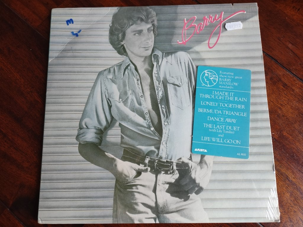 Lp - Barry Manilow - Barry, LP, Pop, Ophalen of Verzenden, 12 inch