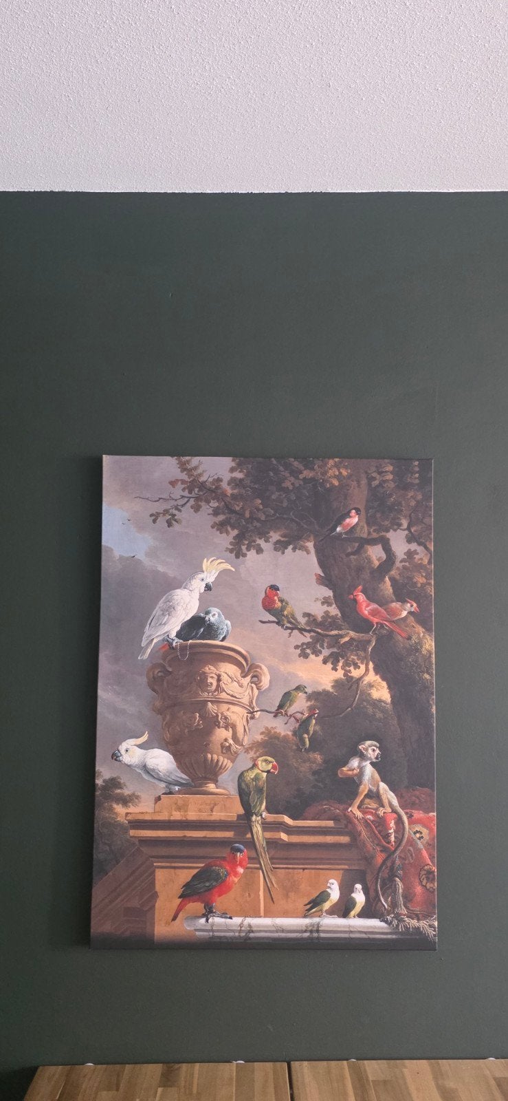 Prachtige print met exotische vogels en apen, Ophalen, 75 – 100, 50 tot 75 cm, Print