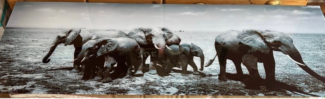 Schilderij olifanten 160x60 cm van glas, Ophalen, 50 – 75, 125 cm of meer, Zo goed als nieuw