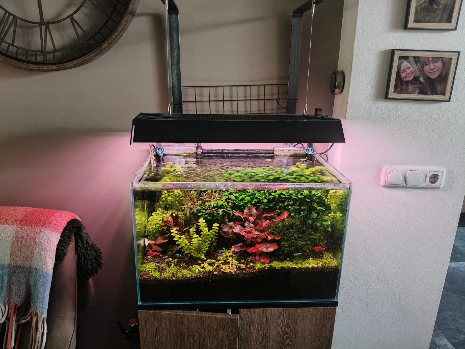 Aquarium, Ophalen, Gebruikt