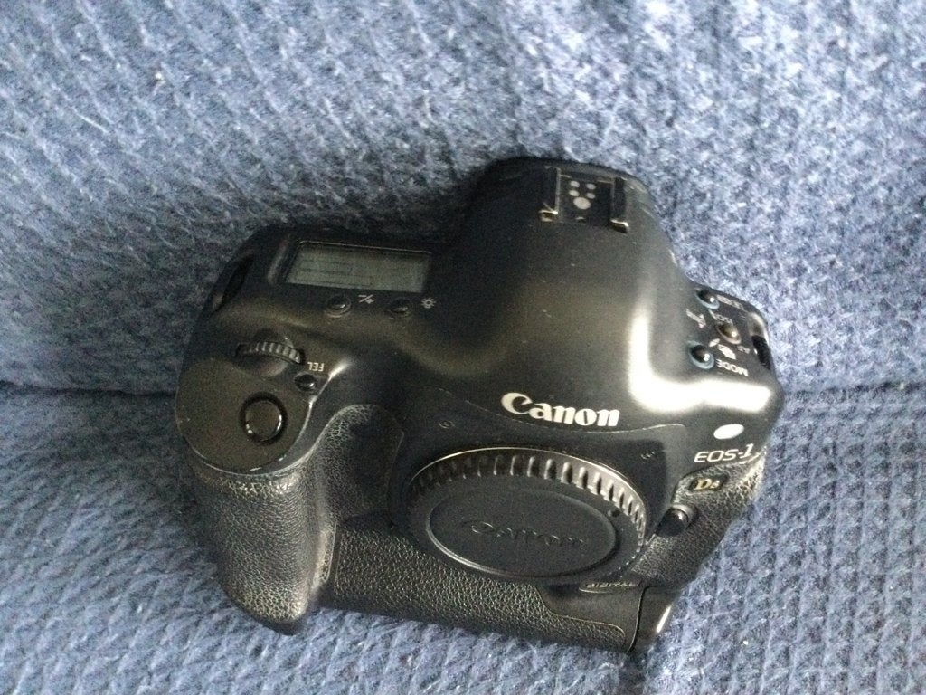 Canon eos 1 ds, Gebruikt, Canon, Ophalen of Verzenden, Systeemcamera