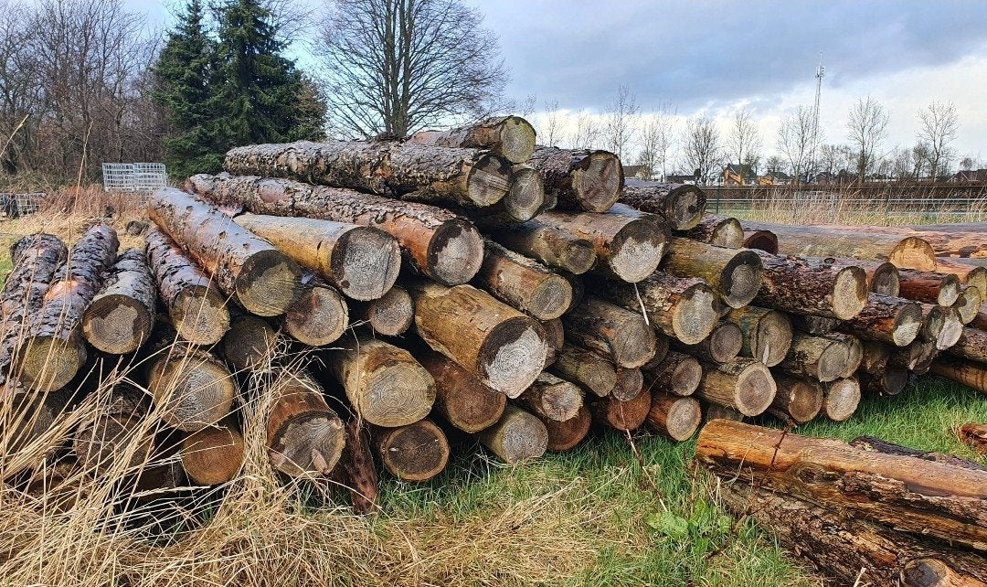 Gezocht:boomstammen - voor brandhout, 6 m³ of meer, Ophalen, Overige houtsoorten, Stammen