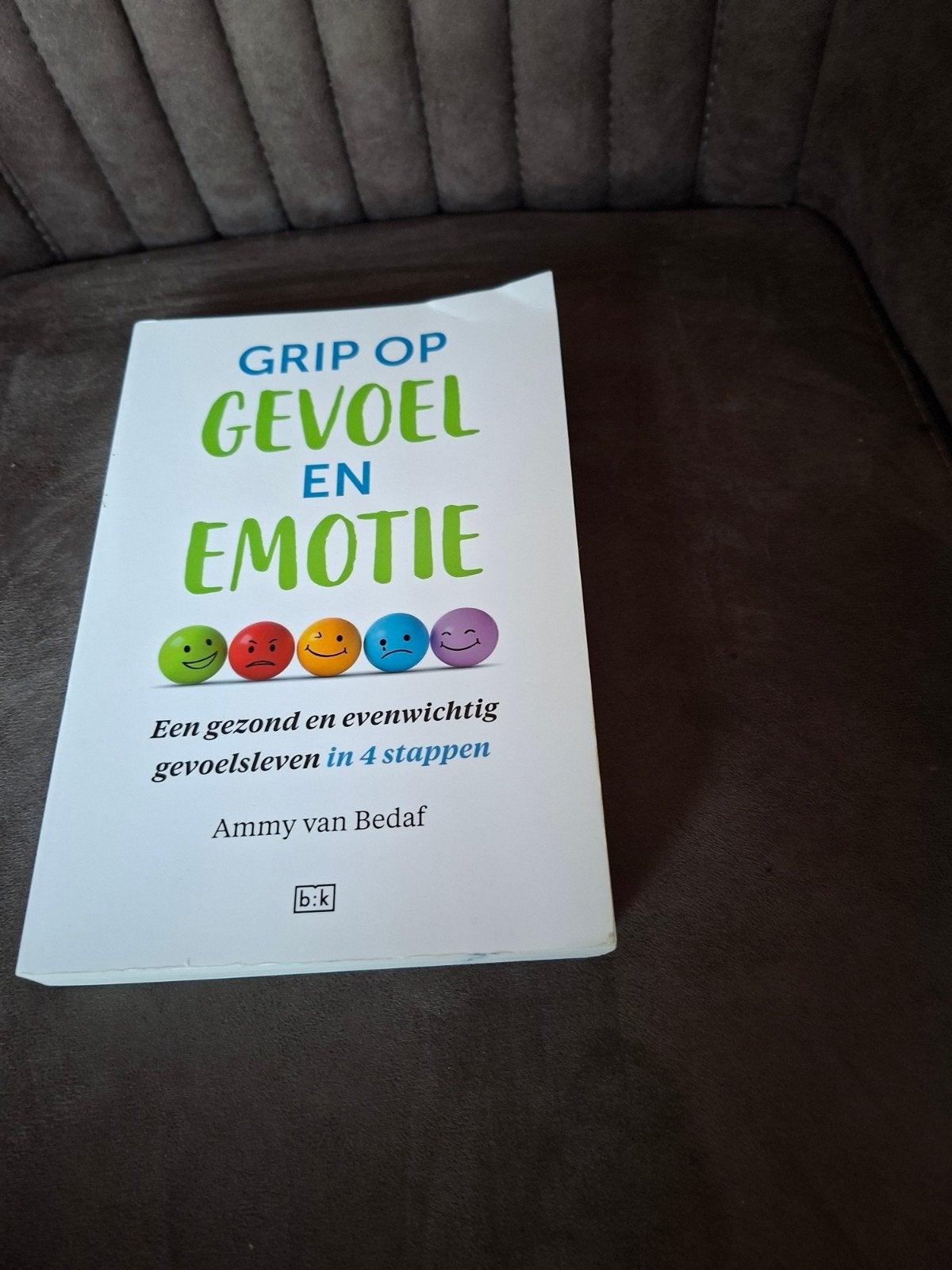 Grip op Gevoel en Emotie - Ammy van Bedaf, Ophalen of Verzenden, Gelezen, Klinische psychologie, Ammy van Bedaf